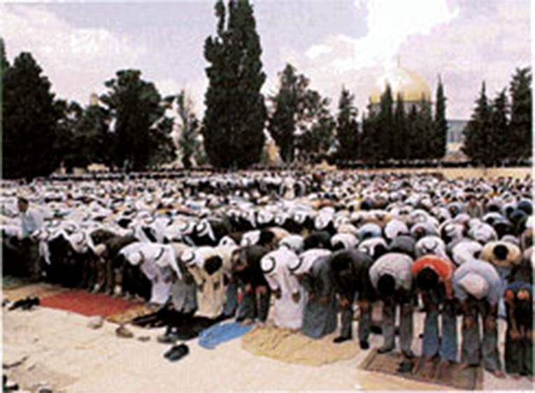 Moslems praying in Jerusalem