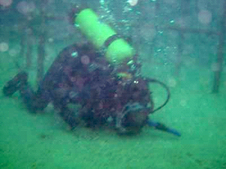 Salah prayer under water