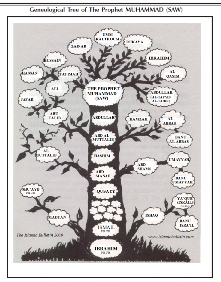 Родословная мухаммад. Генеалогическое Древо пророка Мухаммеда. Родословная пророка Мухаммада Древо. Родовое дерево пророка Мухаммеда. Дерево пророка Мухаммеда.